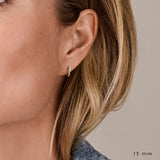 Oorbellen klap creolen gedraaid