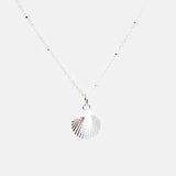 Ketting schelp kokkel