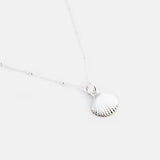 Ketting schelp kokkel