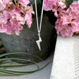Ketting bliksem